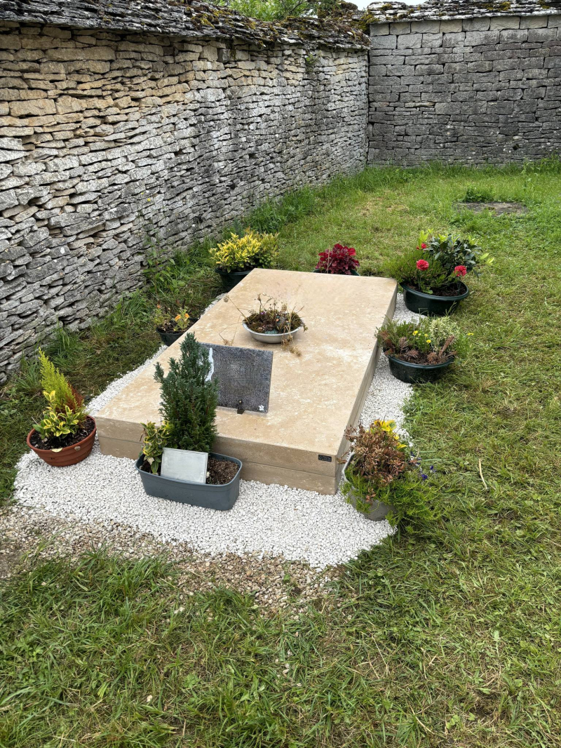 476605559_122205793160196385_1558777659516589