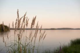 images (3)